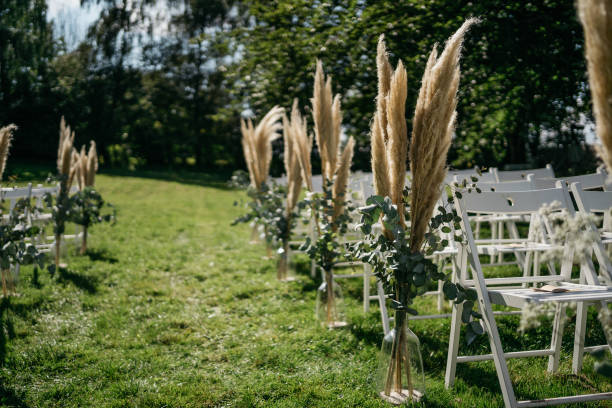 istock White Wedding Ceremony Setup with Pampas Grass Aisle Decoration in Garden 2185578878