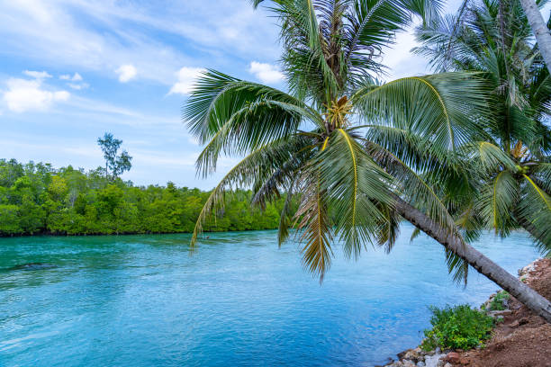 Tahiti French Polynesia