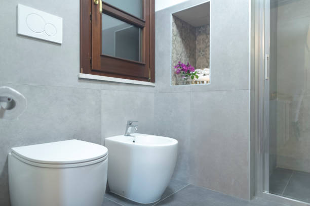istock Contemporary Modern Bathroom Interior Featuring Shower and Bidet Design 2185582071