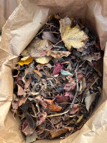 istock Autumn Leaves in Lawn Bag 2185583783
