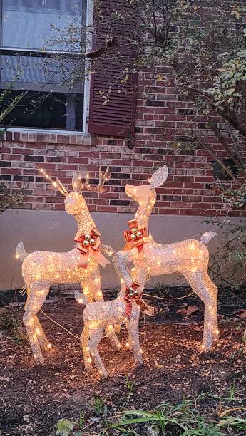 istock Christmas Decorations in November with Sunset Sky 2185583860