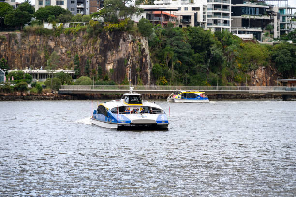 A modern CityCat ferry cruises through Brisbane River, showcasing efficient public transport with a sleek design and vibrant branding.