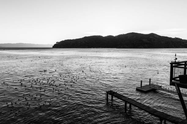 istock Pier extending into a lake with birds flying 2185585675