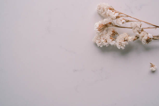 istock Elegant Floral Frame Border with White floral branch on white marble background. Invitation, greeting card. Copy space, mock up template. Flat lay, top view, minimal composition. 2185591409