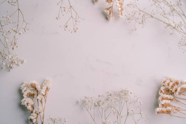 istock Elegant Floral Frame Border with White floral branch on white marble background. Invitation, greeting card. Copy space, mock up template. Flat lay, top view, minimal composition. 2185591432