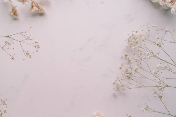 istock Elegant Floral Frame Border with White floral branch on white marble background. Invitation, greeting card. Copy space, mock up template. Flat lay, top view, minimal composition. 2185591472