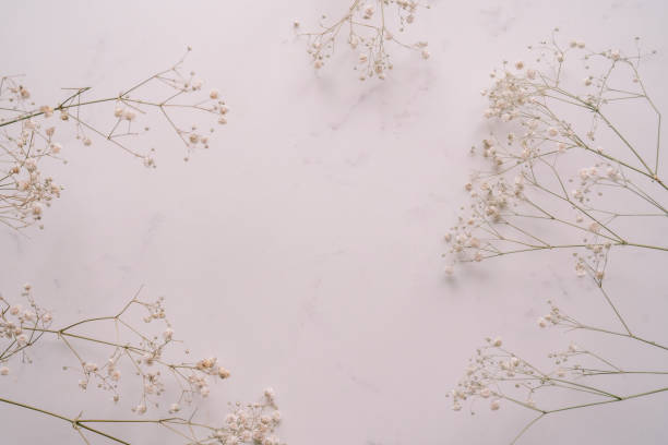 istock Elegant Floral Frame Border with White floral branch on white marble background. Invitation, greeting card. Copy space, mock up template. Flat lay, top view, minimal composition. 2185591498