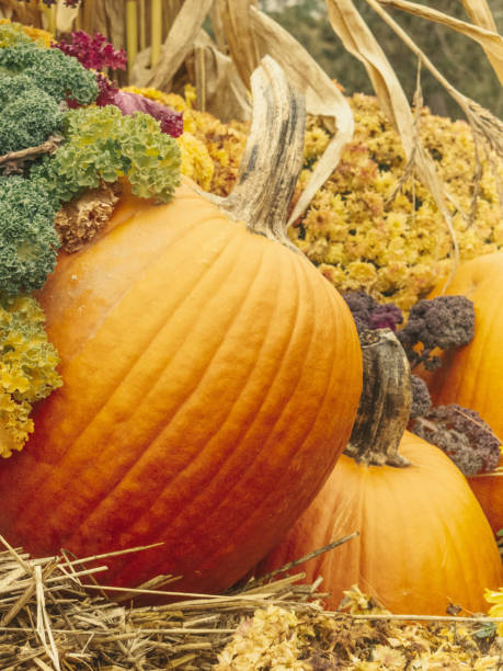 istock Halloween Harvest Pumpkins Retail Fall Sale Display Decoration 2185592825