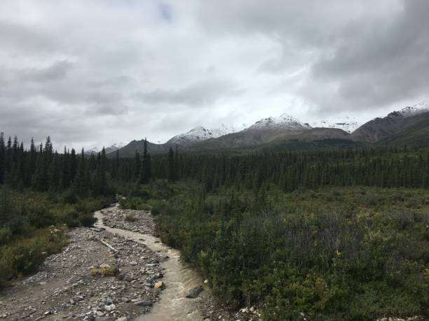 istock Landscape of Denali National Park 2185597620