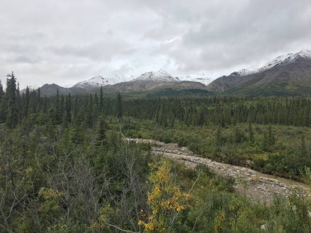 istock Landscape of Denali National Park 2185597638