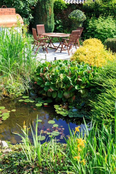istock Sitting area in the garden with pond 2185599109