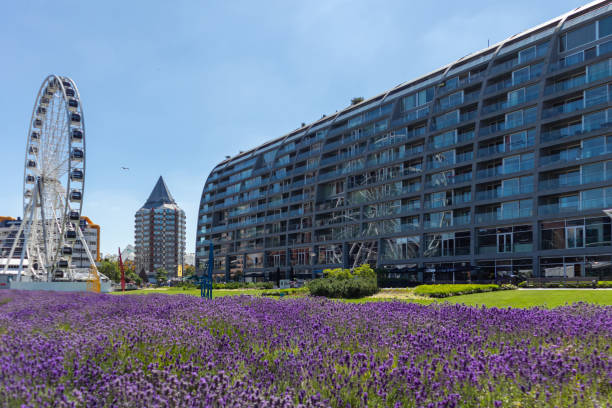 Rotterdam, Netherlands. Markthal. Ferris wheel and lavenders