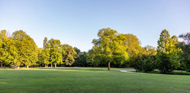 istock People enjoy picnic on grass at a park in Rotterdam Netherlands. 2185600249