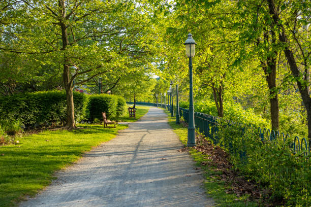 Empty bench and a dirt path, green trees, city park in springtime