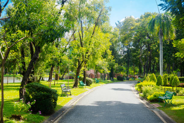 View along footpath in Chatuchak Park in Bangkok