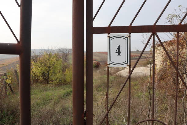 A rustic wooden gate prominently featuring the number four, beautifully framed by a serene and overgrown landscape