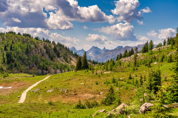 Elevated Beauty - Stunning Mountain Trail from Sunshine Meadows in Banff
