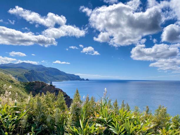 istock Scenic coastal landscape with lush greenery. 2185607848