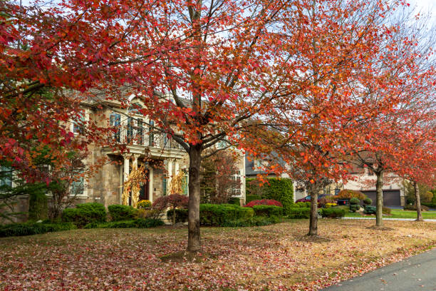 istock Saddle River Park, Katelyn Park, and Saddle River Park in New Jersey 2185608066
