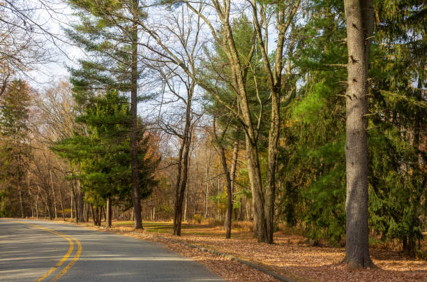istock Saddle River Park, Katelyn Park, and Saddle River Park in New Jersey 2185608163