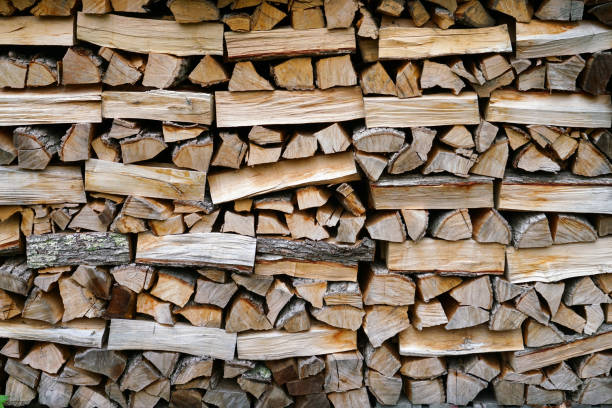 istock Facade view of stacking fire wood pile 2185608332
