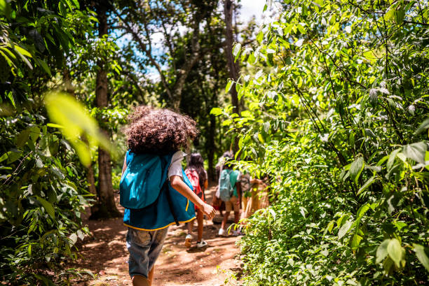 istock Children doing hike during a field trip in a summer camp 2185608914