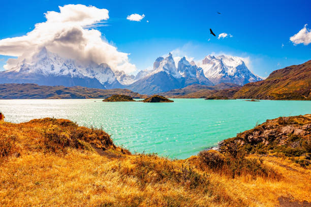 istock Patagonia. Lake Pehoe 2185609113