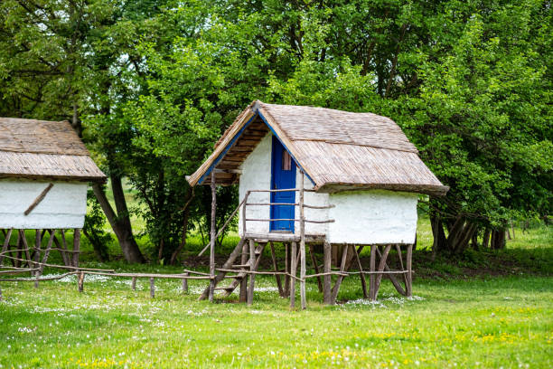 close up wooden house and the forest behind it