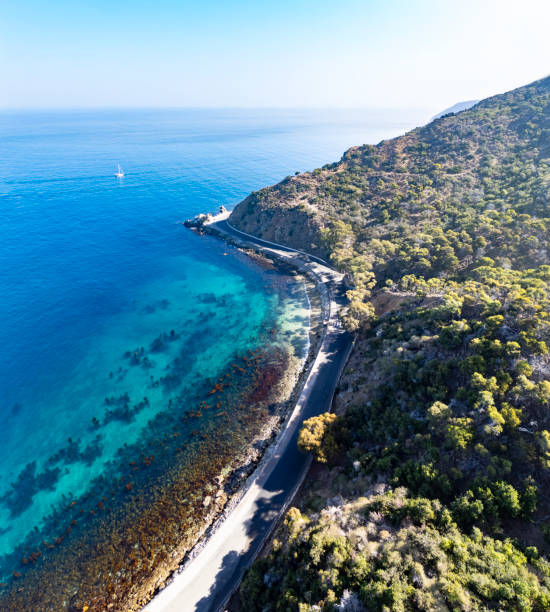 istock Aerial View of Avalon 2185609594