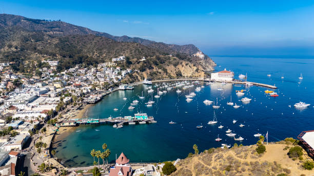 istock Aerial View of Avalon 2185609604