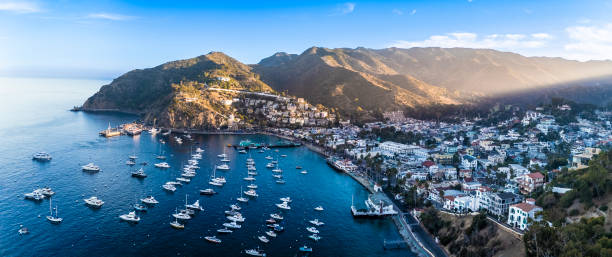 istock Aerial View of Avalon 2185609606