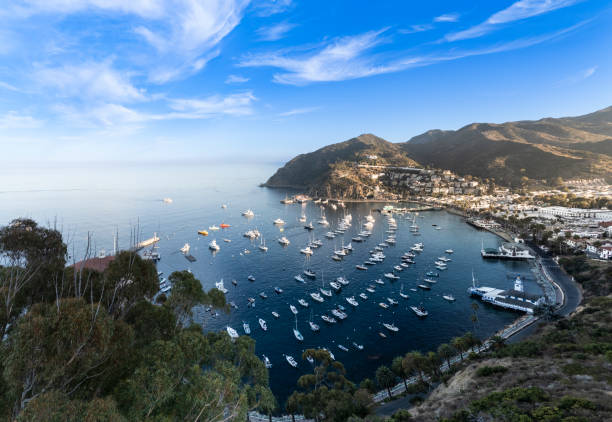 istock Aerial View of Avalon 2185609615