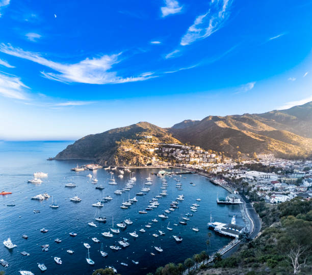 istock Aerial View of Avalon 2185609616