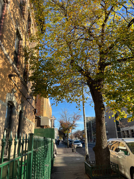 istock UGC Brooklyn Sidewalk in Fall Across from school 2185610014