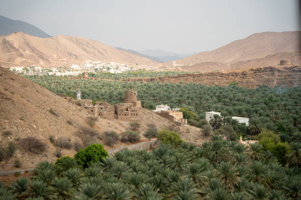 istock Birka Bint Al-Marzouq Ruins, Oman 2185611816
