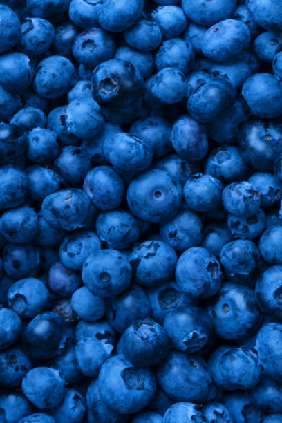 istock Fresh blueberry background. Texture blueberry berries close up. 2185617277
