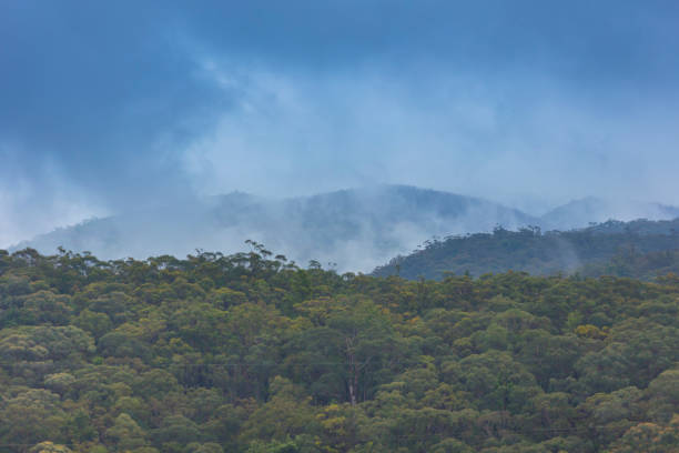 istock Mist coming out of a large gully on a humid morning 2185620439