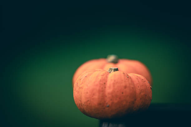 Four orange pumpkins in a row on light wooden background, Halloween, Thanksgiving and Harvest day concept.