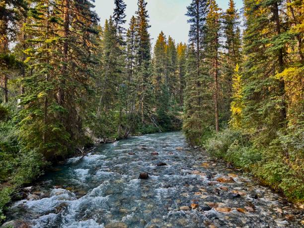 istock River in Banff National Park 2185635804