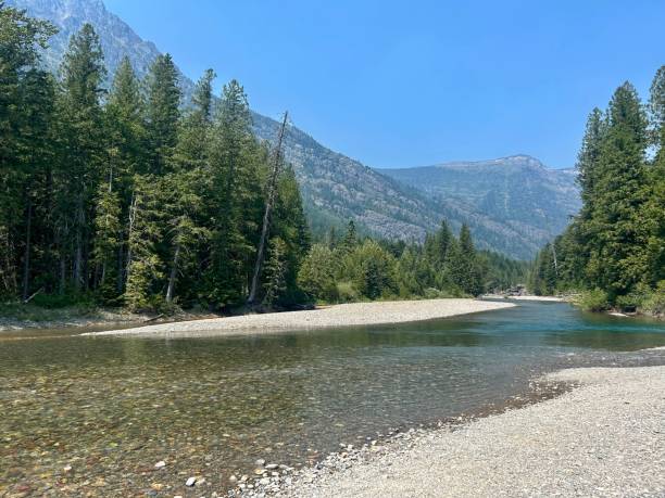 istock Riverbank in Glacier National Park 2185635931