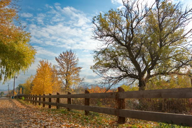 A small wooden fence bordering a dirt footpath with a blue sky in the background.