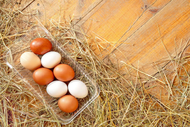 Fresh chicken eggs in a plastic tray on a wooden background with hay. Space for copy.