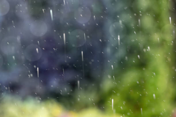 Rain drops falling on a green defocused nature background. Beautiful bokeh light.