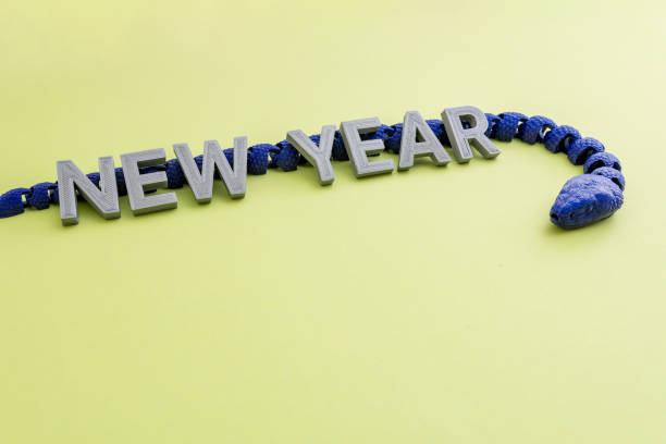 Minimalistic 2025 New Year decoration on a plain background. 3D printed letters and a snake, symbol of the year. Light green color background. New Year's celebration