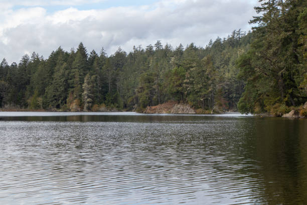 istock Tranquil lake in the mountains 2185644302