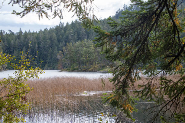 istock Lake in the mountains 2185644388