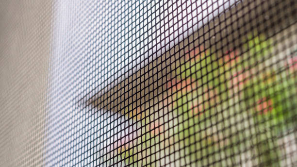 istock mosquito net wire screen on house window protection against insect 2185645955