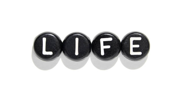 istock Life concept with black stones and white letters isolated on white background 2185646443