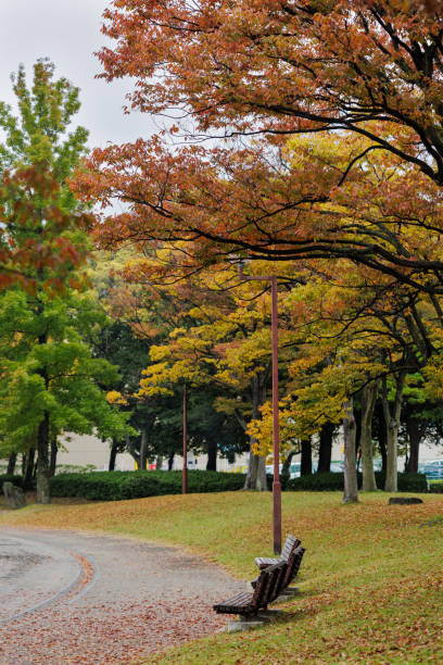 istock Fall Colors and Lonely Park Benches 2185648524