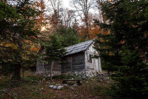 istock Wooden cabin in the woods 2185652535